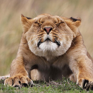 萨格资料,萨格最新歌曲,萨格MV视频,萨格音乐专辑,萨格好听的歌