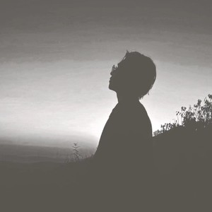 在我二十岁生日那天我遇见一只可爱的猫