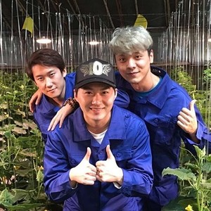 蔬菜男孩资料,蔬菜男孩最新歌曲,蔬菜男孩MV视频,蔬菜男孩音乐专辑,蔬菜男孩好听的歌