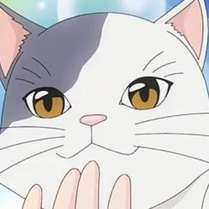 Lil Piggy资料,Lil Piggy最新歌曲,Lil PiggyMV视频,Lil Piggy音乐专辑,Lil Piggy好听的歌