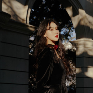 苏幕遮·燎沉香