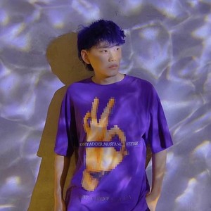 楼顶上的小斑鸠