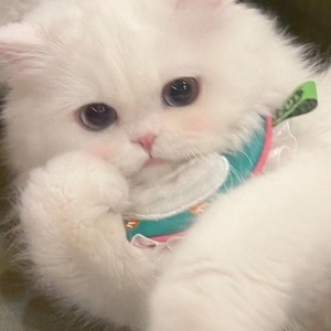 熙梓辰资料,熙梓辰最新歌曲,熙梓辰MV视频,熙梓辰音乐专辑,熙梓辰好听的歌