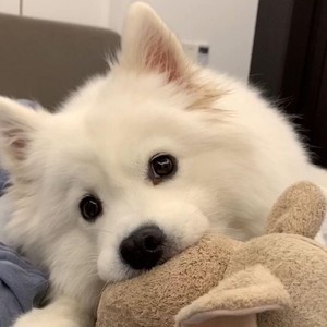 火山资料,火山最新歌曲,火山MV视频,火山音乐专辑,火山好听的歌