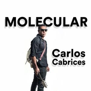 Carlos Cabrices