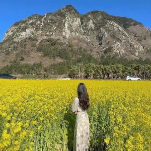 颜诺儿资料,颜诺儿最新歌曲,颜诺儿MV视频,颜诺儿音乐专辑,颜诺儿好听的歌