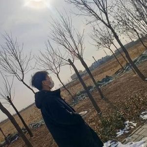 要不要买花资料,要不要买花最新歌曲,要不要买花MV视频,要不要买花音乐专辑,要不要买花好听的歌