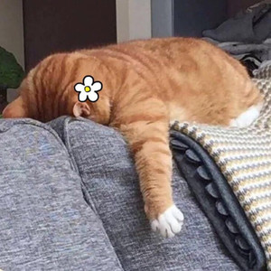 蔡绰绰.资料,蔡绰绰.最新歌曲,蔡绰绰.MV视频,蔡绰绰.音乐专辑,蔡绰绰.好听的歌