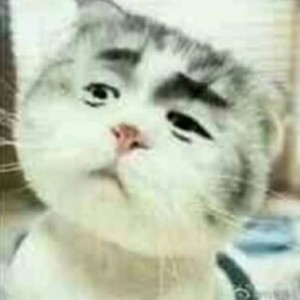 黄先生资料,黄先生最新歌曲,黄先生MV视频,黄先生音乐专辑,黄先生好听的歌