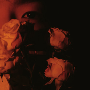 Roy乐仔资料,Roy乐仔最新歌曲,Roy乐仔MV视频,Roy乐仔音乐专辑,Roy乐仔好听的歌