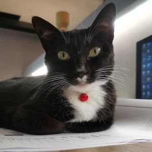 phigi资料,phigi最新歌曲,phigiMV视频,phigi音乐专辑,phigi好听的歌