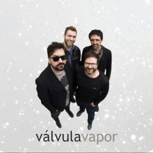 Válvula Vapor