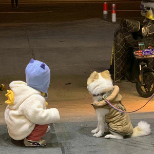 段好好资料,段好好最新歌曲,段好好MV视频,段好好音乐专辑,段好好好听的歌