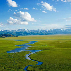 森林僧林森资料,森林僧林森最新歌曲,森林僧林森MV视频,森林僧林森音乐专辑,森林僧林森好听的歌