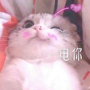 XIAOLI WANG资料,XIAOLI WANG最新歌曲,XIAOLI WANGMV视频,XIAOLI WANG音乐专辑,XIAOLI WANG好听的歌