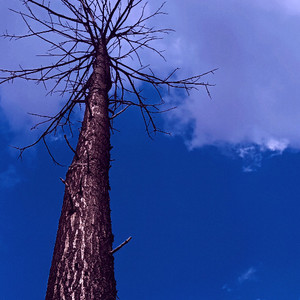 村口老陆资料,村口老陆最新歌曲,村口老陆MV视频,村口老陆音乐专辑,村口老陆好听的歌
