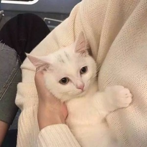 祁硕资料,祁硕最新歌曲,祁硕MV视频,祁硕音乐专辑,祁硕好听的歌