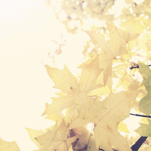 武昊资料,武昊最新歌曲,武昊MV视频,武昊音乐专辑,武昊好听的歌