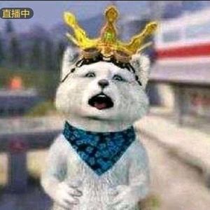 东北熊瞎子ovo资料,东北熊瞎子ovo最新歌曲,东北熊瞎子ovoMV视频,东北熊瞎子ovo音乐专辑,东北熊瞎子ovo好听的歌