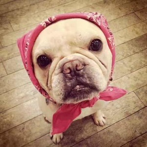 宇宙资料,宇宙最新歌曲,宇宙MV视频,宇宙音乐专辑,宇宙好听的歌