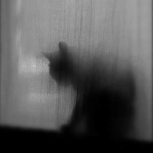 TEn李祎麟资料,TEn李祎麟最新歌曲,TEn李祎麟MV视频,TEn李祎麟音乐专辑,TEn李祎麟好听的歌