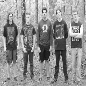 Tond资料,Tond最新歌曲,TondMV视频,Tond音乐专辑,Tond好听的歌