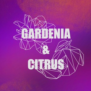 LoopMachine资料,LoopMachine最新歌曲,LoopMachineMV视频,LoopMachine音乐专辑,LoopMachine好听的歌