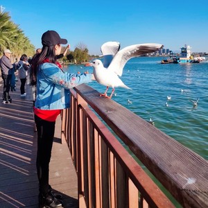 壹粒粒资料,壹粒粒最新歌曲,壹粒粒MV视频,壹粒粒音乐专辑,壹粒粒好听的歌