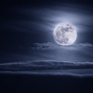 想见你想见你想见你