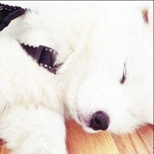 Monster'fu资料,Monster'fu最新歌曲,Monster'fuMV视频,Monster'fu音乐专辑,Monster'fu好听的歌