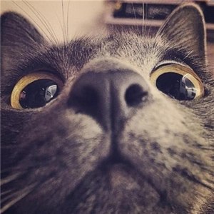 ICE小马资料,ICE小马最新歌曲,ICE小马MV视频,ICE小马音乐专辑,ICE小马好听的歌