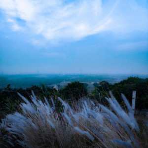 Kalmi资料,Kalmi最新歌曲,KalmiMV视频,Kalmi音乐专辑,Kalmi好听的歌