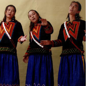 南彝组合资料,南彝组合最新歌曲,南彝组合MV视频,南彝组合音乐专辑,南彝组合好听的歌