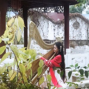 满宝酱箜篌资料,满宝酱箜篌最新歌曲,满宝酱箜篌MV视频,满宝酱箜篌音乐专辑,满宝酱箜篌好听的歌