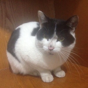 蜕变资料,蜕变最新歌曲,蜕变MV视频,蜕变音乐专辑,蜕变好听的歌