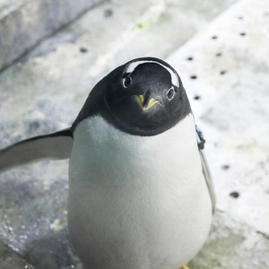 你看到的我 (Live)