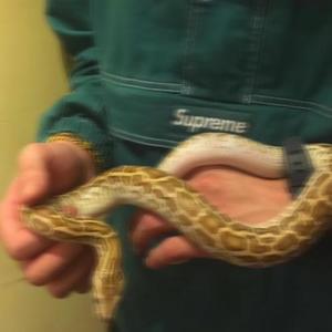 30资料,30最新歌曲,30MV视频,30音乐专辑,30好听的歌