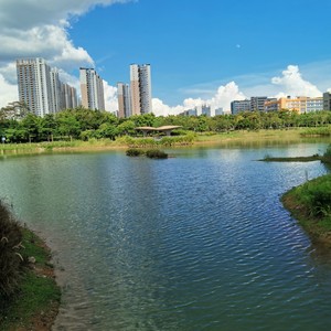 洲林资料,洲林最新歌曲,洲林MV视频,洲林音乐专辑,洲林好听的歌