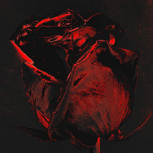 Rockefeller资料,Rockefeller最新歌曲,RockefellerMV视频,Rockefeller音乐专辑,Rockefeller好听的歌