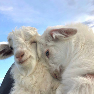 沈一一资料,沈一一最新歌曲,沈一一MV视频,沈一一音乐专辑,沈一一好听的歌