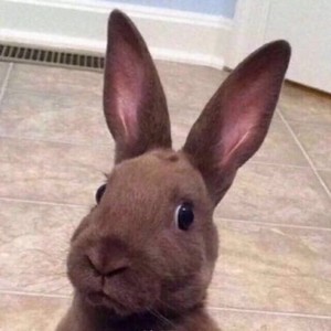 NF10资料,NF10最新歌曲,NF10MV视频,NF10音乐专辑,NF10好听的歌