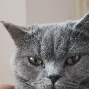 白Ling资料,白Ling最新歌曲,白LingMV视频,白Ling音乐专辑,白Ling好听的歌