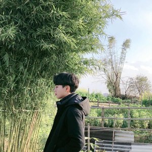 清凌资料,清凌最新歌曲,清凌MV视频,清凌音乐专辑,清凌好听的歌