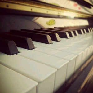 金老师资料,金老师最新歌曲,金老师MV视频,金老师音乐专辑,金老师好听的歌