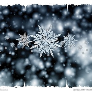 新国王与小鸟资料,新国王与小鸟最新歌曲,新国王与小鸟MV视频,新国王与小鸟音乐专辑,新国王与小鸟好听的歌