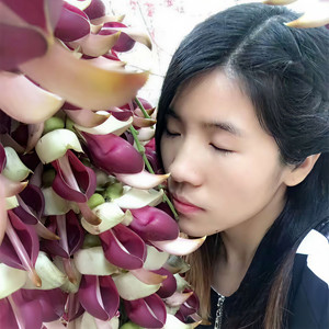 梅花资料,梅花最新歌曲,梅花MV视频,梅花音乐专辑,梅花好听的歌