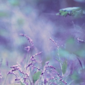 浩华资料,浩华最新歌曲,浩华MV视频,浩华音乐专辑,浩华好听的歌