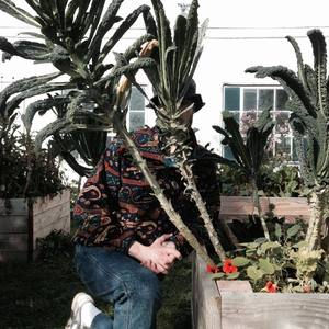 Local Artist资料,Local Artist最新歌曲,Local ArtistMV视频,Local Artist音乐专辑,Local Artist好听的歌