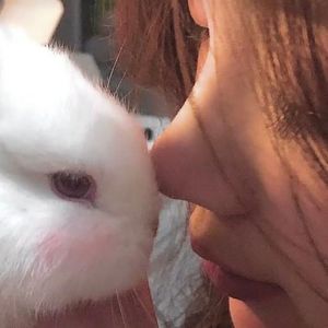 心惜情歌资料,心惜情歌最新歌曲,心惜情歌MV视频,心惜情歌音乐专辑,心惜情歌好听的歌