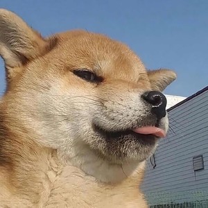 笙可资料,笙可最新歌曲,笙可MV视频,笙可音乐专辑,笙可好听的歌